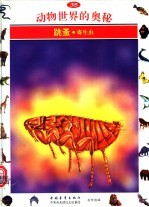 动物世界的奥秘 图集 35 跳蚤 寄生虫