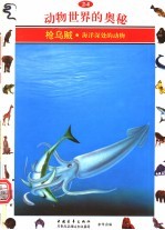 动物世界的奥秘 图集 24 枪乌贼 海洋深处的动物