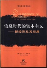 信息时代的资本主义 新经济及其后果