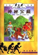 神秘宝藏