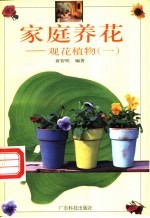 家庭养花 观花植物 1