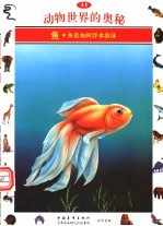 动物世界的奥秘 图集 11 鱼 鱼如何浮水游泳