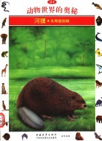 动物世界的奥秘 图集 21 河狸 水坝建筑师