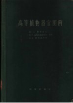 高等植物器官图解