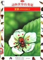 动物世界的奥秘 图集 22 蜜蜂 蜂蜜的制造者