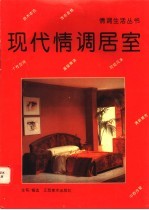 现代情调居室