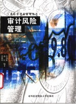 审计风险管理