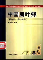 中国扁叶蜂 膜翅目：扁叶蜂科