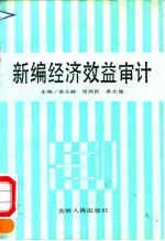 新编经济效益审计