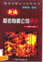 新编股份有限公司审计