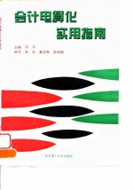 会计电算化实用指南