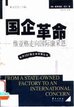 国企革命 维亚格走向国际康采恩