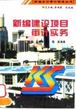 新编建设项目审计实务