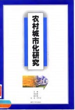 农村城市化研究