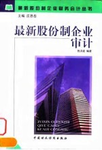 最新股份制企业审计