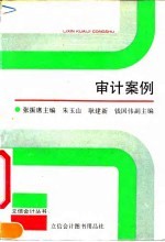 审计案例