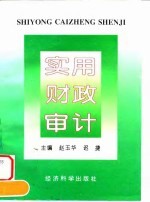 实用财政审计