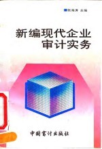 新编现代企业审计实务