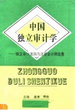 中国独立审计学 独立审计准则与注册会计师业务