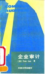 企业审计