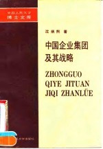 中国企业集团及其战略