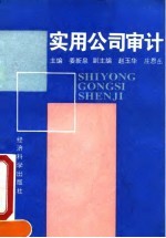 实用公司审计