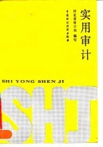 实用审计