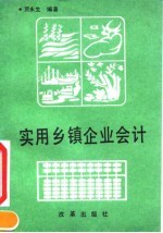实用乡镇企业会计
