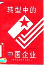 转型中的中国企业 国有企业组织创新论
