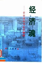 经济魂 企业文化与企业精神