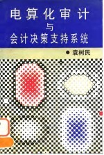 电算化审计与会计决策支持系统