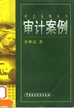 审计案例