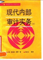 现代内部审计实务 上