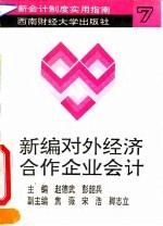 新编对外经济合作企业会计