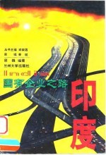 国有企业之路 印度