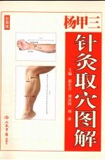 杨甲三针灸取穴图解 彩图版