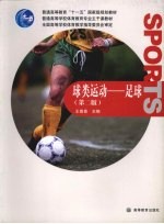 球类运动 足球