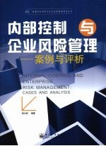 内部控制与企业风险管理 案例与评析