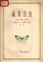 蔬菜害虫
