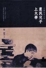 农民儿子上大学:中国高校小说