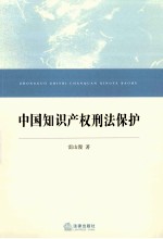 中国知识产权刑法保护