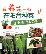 像养花一样在阳台种菜 盆栽蔬菜40例