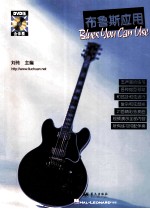 布鲁斯应用
