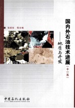 国内外石油技术进展(十一五) 地质与开发