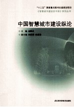 中国智慧城市建设纵论