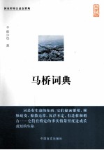 马桥词典 大字版
